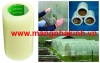 Cung cấp KEO VÁ MÀNG NHÀ KÍNH chuyên dụng, dùng để dán, nối, vá lỗ thủng màng nhà kính.